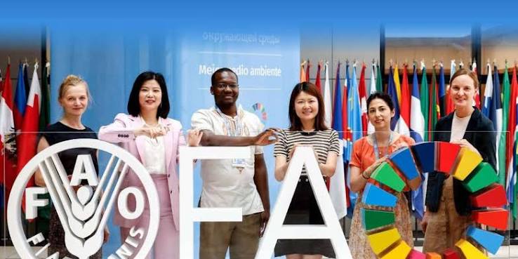 FAO Young Professionals Program (YPP) 2026 | How To Apply