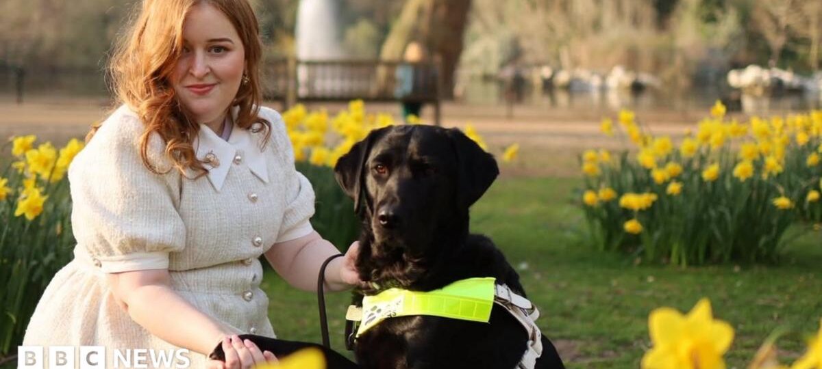 Disabled in a heatwave: 'We're talking about survival'