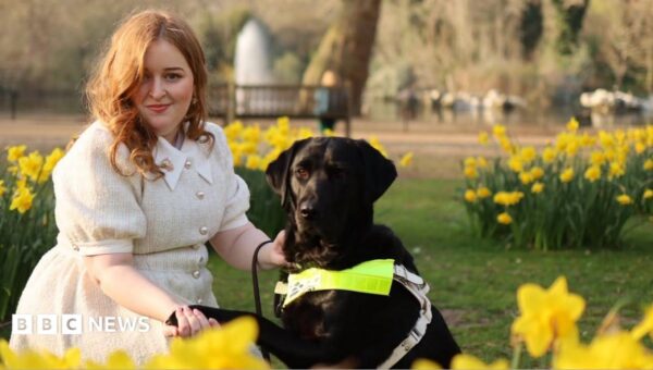 Disabled in a heatwave: 'We're talking about survival'