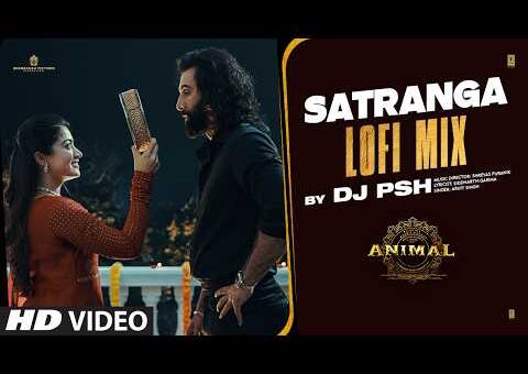 Animal: Satranga Lofi Mix | Ranbir Kapoor, Rashmika, Arijit Singh, Shreyas, Siddharth-Garima, DJ PSH