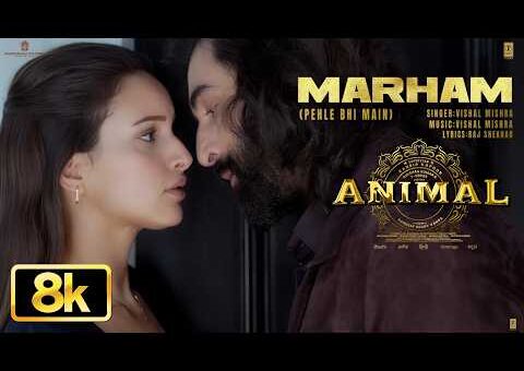Marham (Pehle Bhi Main) 8K | ANIMAL | Ranbir Kapoor,Tripti Dimri |Sandeep|Vishal M,Raj S|Bhushan K