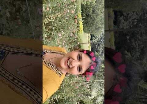 Itne sundar fool 🌼❤️