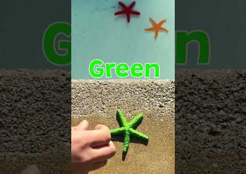 YOU’RE A (Rainbow) Star! 💫 Emmie’s Sea Starfish Beach Adventure #kids #shorts