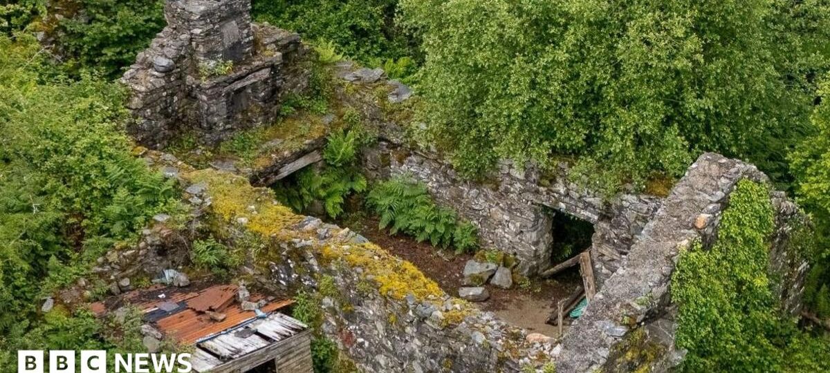 House up for auction for £17k - but it doesn't have a roof