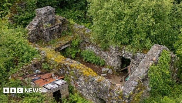 House up for auction for £17k – but it doesn’t have a roof