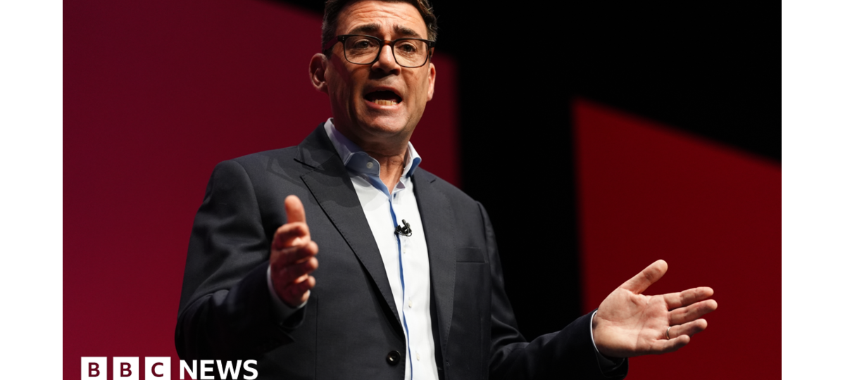 Watch: Burnham says UK could go 'all the way' towards rejoining EU