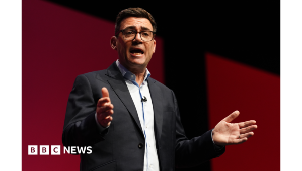 Watch: Burnham says UK could go ‘all the way’ towards rejoining EU
