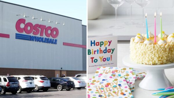 This AI assistant bought me whey protein and booked a cabin for my birthday
