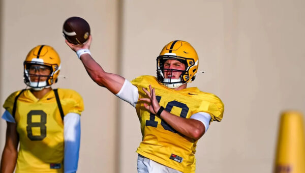 LSU football depth chart: How Lane Kiffin overhauled roster with 2026 transfers, pro players