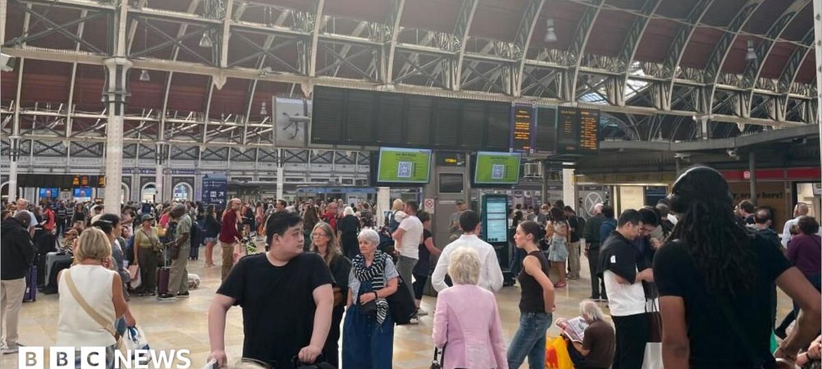 Major disruption as grass fire halts all trains to Heathrow Airport