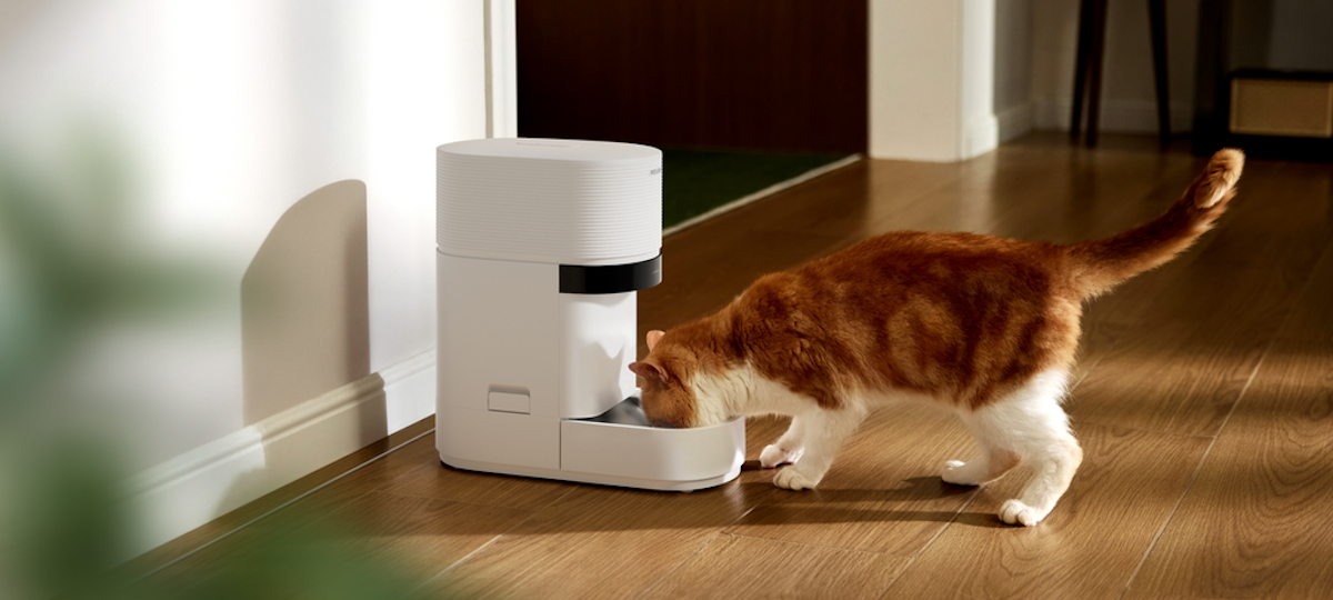 Petlibro’s new AI-powered feeder is a game changer for multi-cat homes