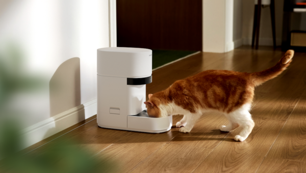 Petlibro’s new AI-powered feeder is a game changer for multi-cat homes