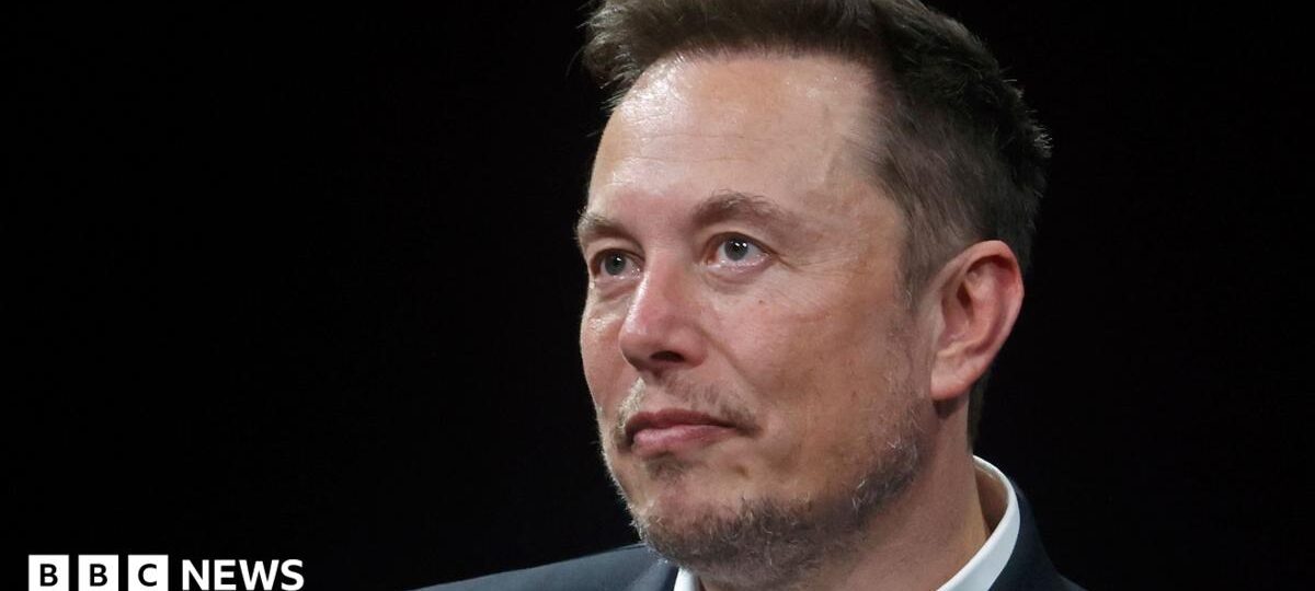 US backs Elon Musk's bid to overturn €120m EU fine against X