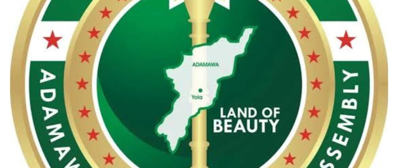 Fintiri nominates chairman, commissioners for Adamawa electricity commission