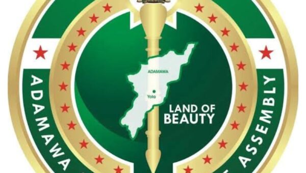 Fintiri nominates chairman, commissioners for Adamawa electricity commission