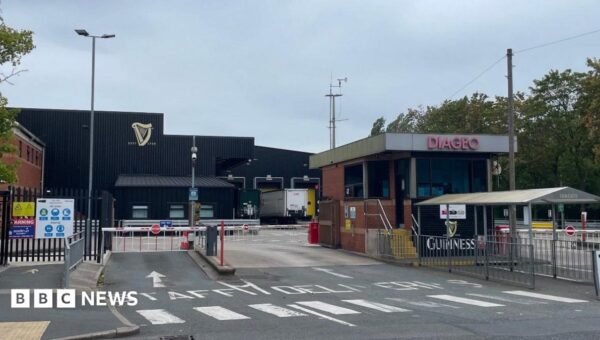 Thieves steal 70,000 pints of Guinness in two lorries