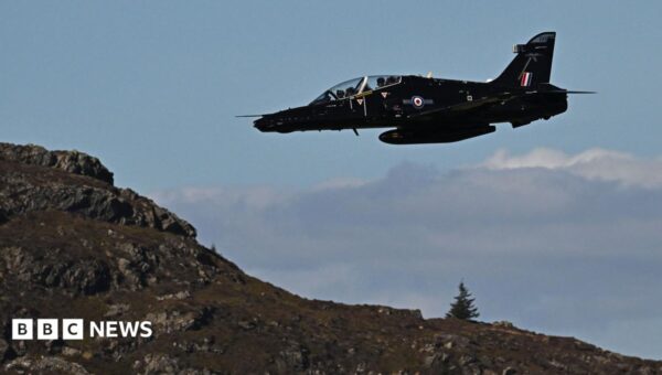 Two pilots ejected and parachuted out of RAF plane before crash