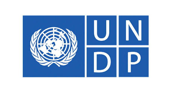 UNDP Remote Internship in Digital, AI and Innovation 2026 | How To Apply