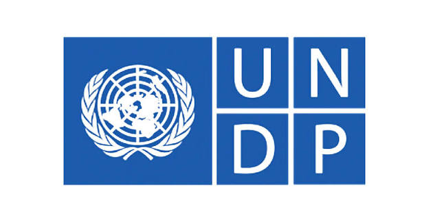 UNDP Remote Internship in Digital, AI and Innovation 2026 | How To Apply