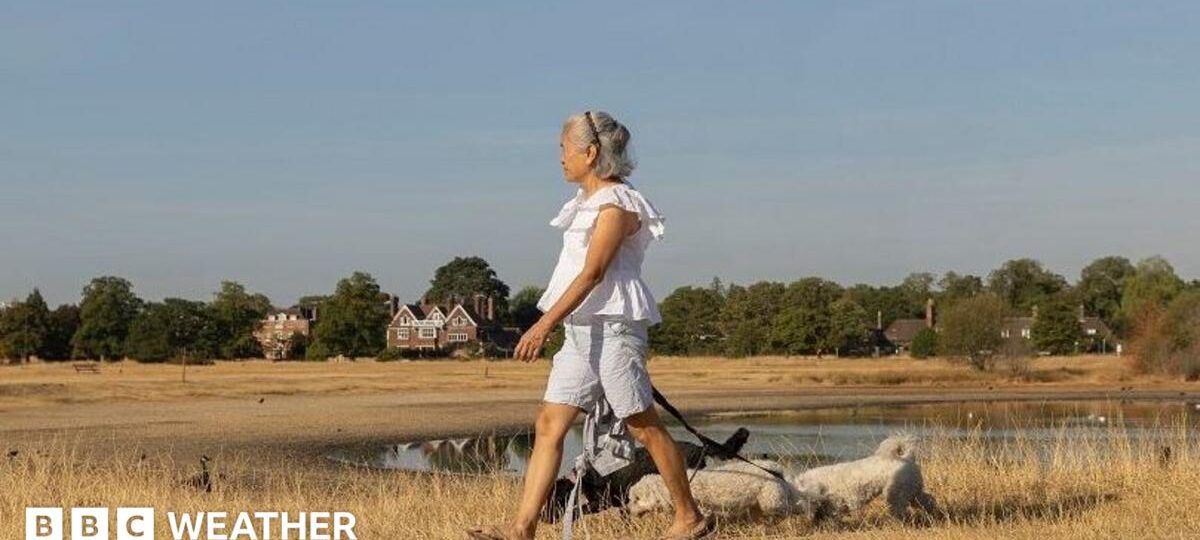 Sunshine returns to parts of UK with warmer and drier weather on way