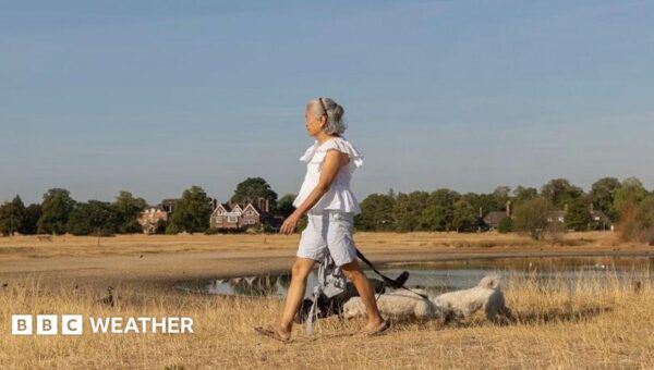 Sunshine returns to parts of UK with warmer and drier weather on way