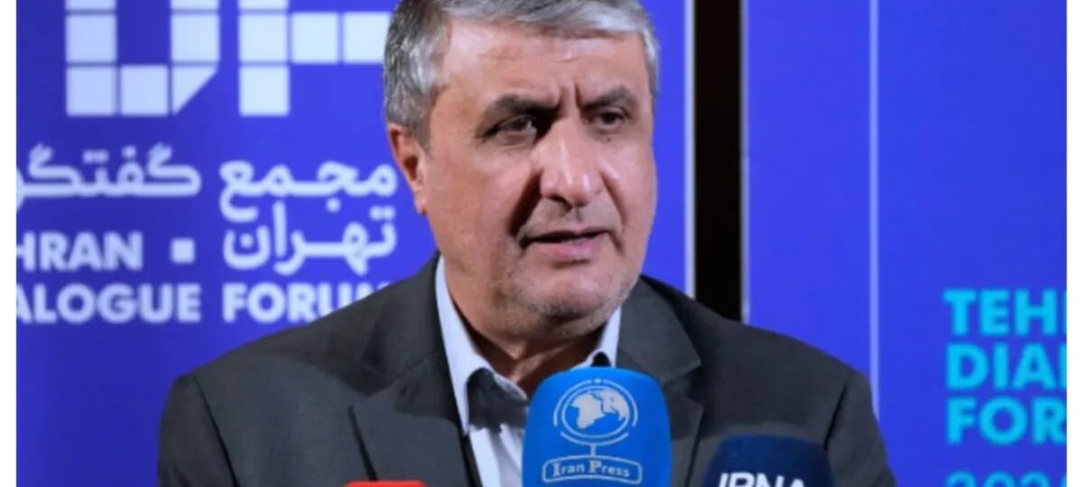 Iran nuclear chief barred from Austria, Tehran blames US