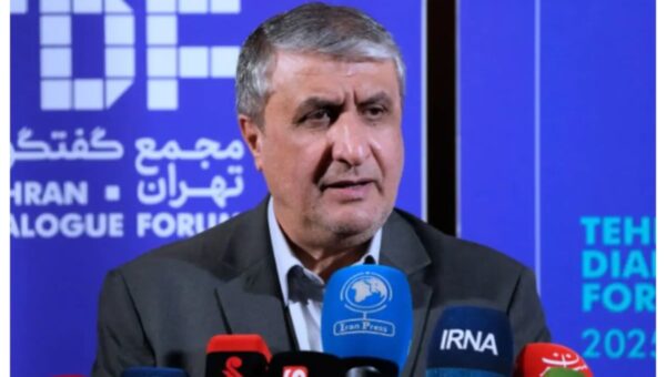 Iran nuclear chief barred from Austria, Tehran blames US