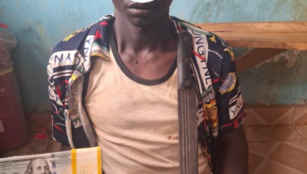 Police arrest four suspected armed robbers, recover counterfeit dollars in Bauchi