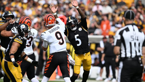 Steelers defensive snap counts, Week 3: Who played most vs. Bengals?