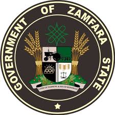Zamfara records 44 deaths in diphtheria outbreak, extends schools resumption