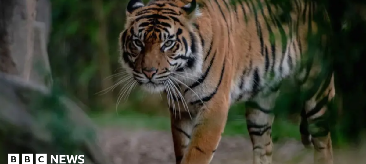 Zoo advertises tickets for 'child predator tour'