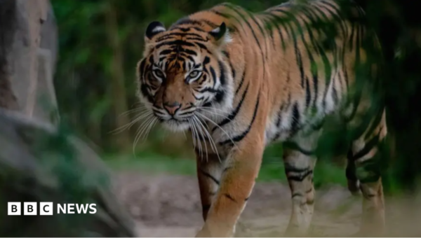 Zoo advertises tickets for ‘child predator tour’