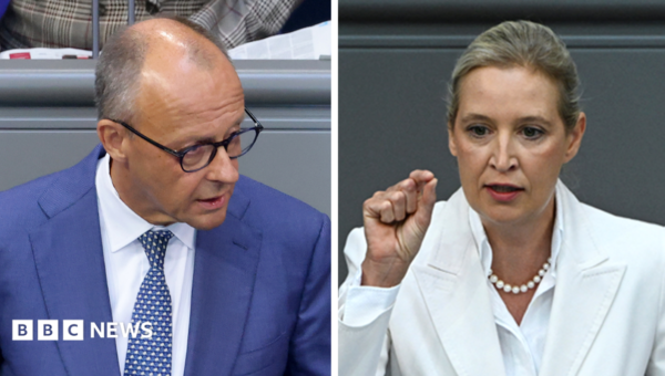 Germany’s Merz attacks AfD in stormy debate after far-right election win