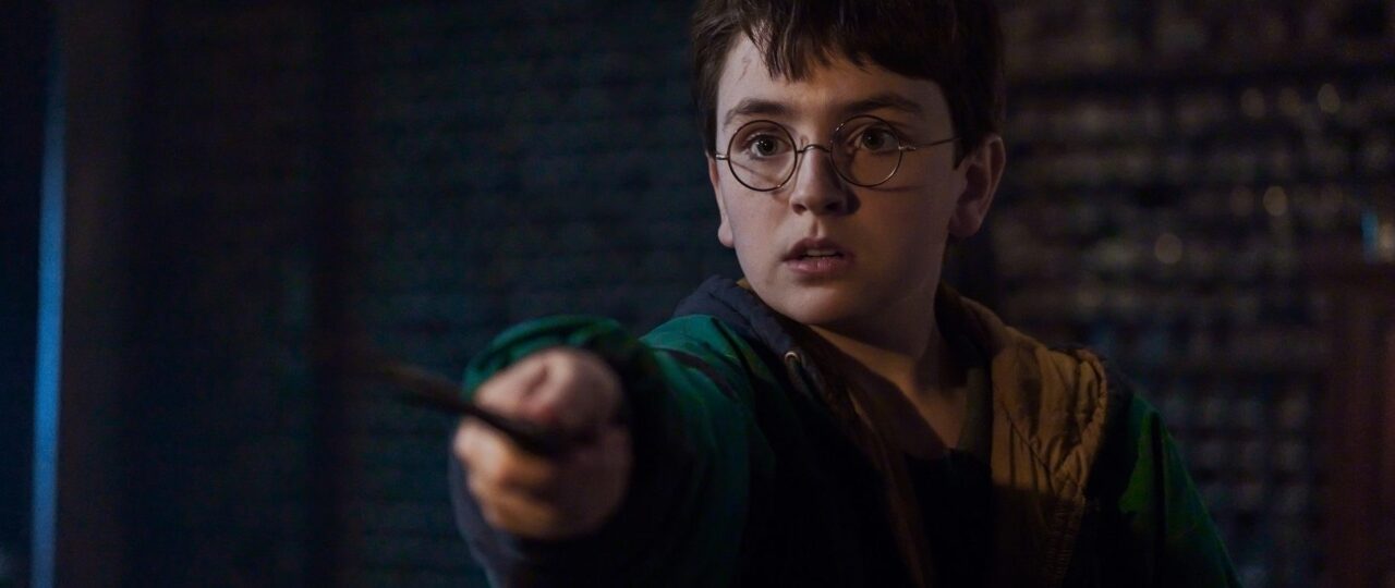 ‘Harry Potter’ Season 2 Cast: Who’s Playing Tom Riddle, Dobby & More