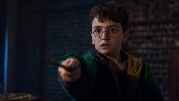 ‘Harry Potter’ Season 2 Cast: Who’s Playing Tom Riddle, Dobby & More
