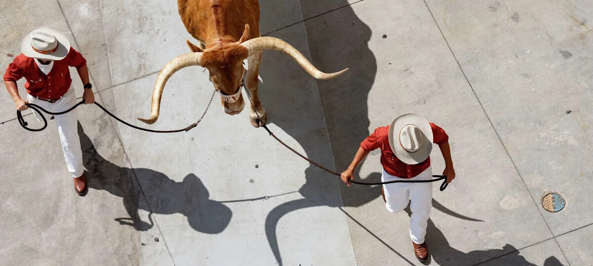 Texas vs Ohio State: Live updates, TV/streaming info, betting lines for season opener