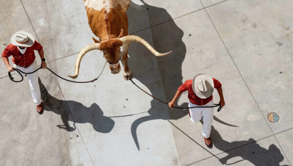 Texas vs Ohio State: Live updates, TV/streaming info, betting lines for season opener
