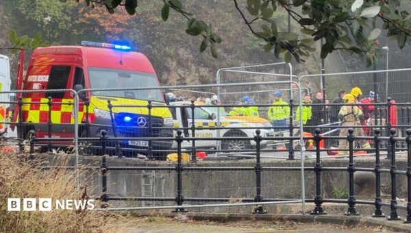 Three teenagers die after car enters river