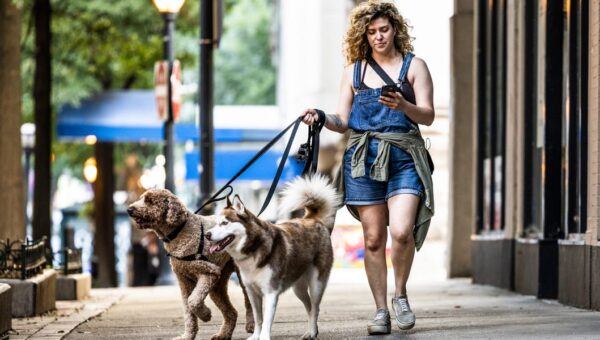 The side-hustle economy is getting more middle-class