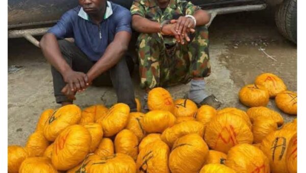 Naval officer, driver arrested with 248 moulds of suspected cannabis in Rivers