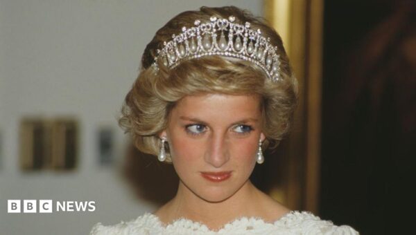 Earl Spencer’s unreleased book on Diana stolen in the Netherlands