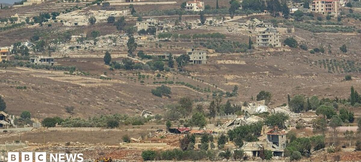 Three farmers detained by Israel in Lebanon, village leader says