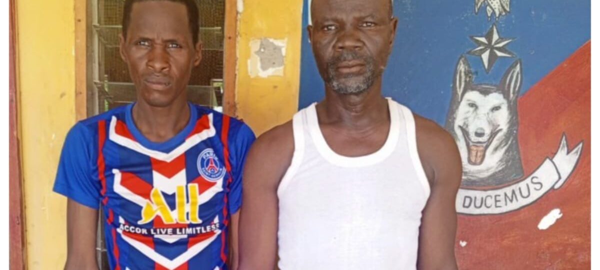 Two brothers suspected of terrorism surrender to troops in Borno