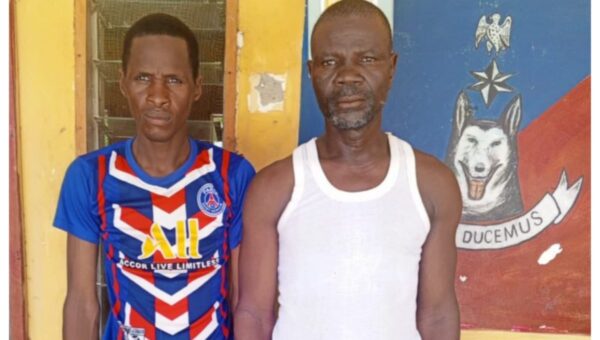 Two brothers suspected of terrorism surrender to troops in Borno