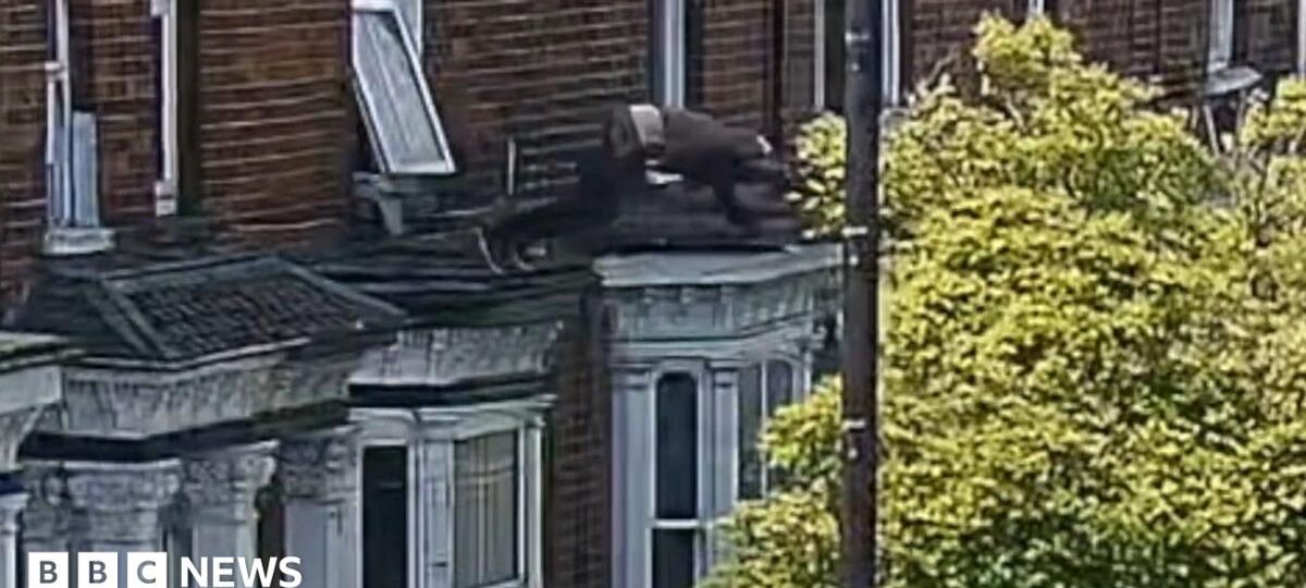 Five jailed after kidnap victim jumped from window