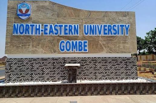 North-eastern university approves up to 65% salary increment for staff