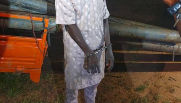 Two arrested in Adamawa over theft from Bamanga Tukur’s farm