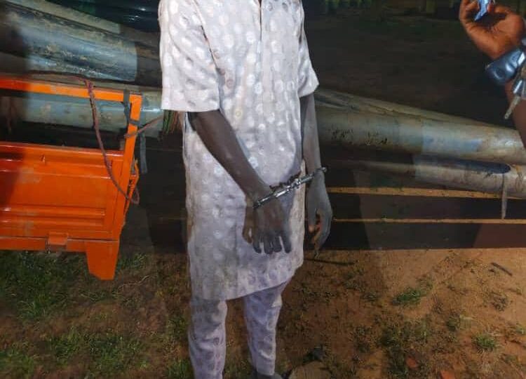 Two arrested in Adamawa over theft from Bamanga Tukur’s farm