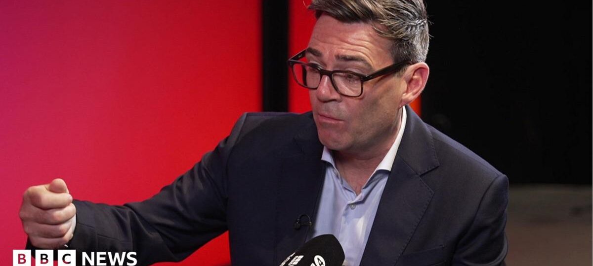 Move to rejoin EU among options for UK, says Burnham
