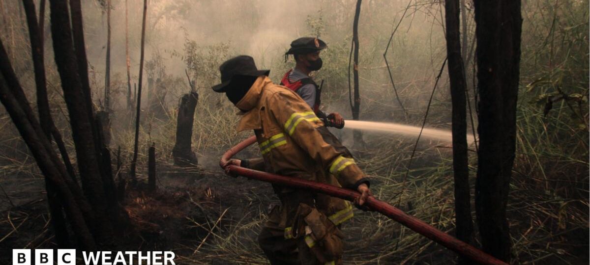 Developing El Niño becomes strongest on record weeks before expected peak